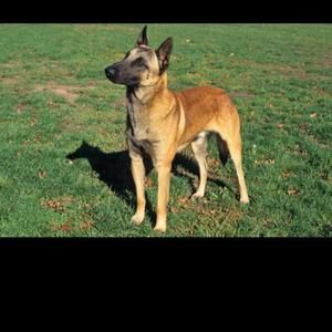 Meet your Posher, Johnny